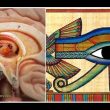 The Eye of Horus and the Pineal Gland: Enigmatic similarities related to the brain and mind